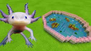 One of the new mobs coming to minecraft is the axolotl, and it looks like this tough little tameable mob is going to change water combat forever. Mcpe How To Make An Axolotl Farm Youtube