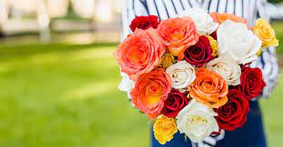 We take care of quality. 1 800 Flowers Canada Coupons Promo Codes June 2021