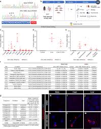 Article number www.tridonic.com 2 emergency lighting units em series mechanical details casing manufactured from polycarbonate. In Utero Adenine Base Editing Corrects Multi Organ Pathology In A Lethal Lysosomal Storage Disease Nature Communications