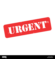 نتیجه جستجوی لغت [urgent] در گوگل