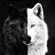 Pin By Juank Guzman On Wolf Native American Wolf Eyes Wolf With Red Eyes Wolf Tattoos