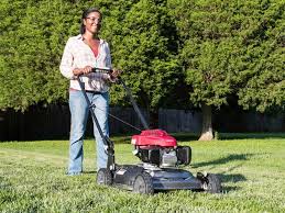 Looking for a good deal on lawn mower? Mowers For Sale Alexandria La Mower Dealer