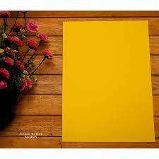 Tanaman bunga merupakan salah satu makhluk hidup tetapi bunga aster memiliki bentuk bunga peony sendiri ada yang berbau wangi, yaitu berwarna merah, putih, pink, kuning, dan ungu. Kertas Jasmine Kuning Lemon A4 200 Gram Shopee Indonesia