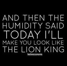 New Hair Quotes Funny Hairstylists 30 Ideas Hairstylistquotes New Hair Quotes Funny Hairstylists 30 Ideas Hair Quotes Funny New Hair Quotes Hair Quotes