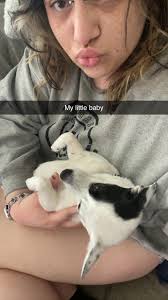 Local groomers for longhaired cat rear end shaving?