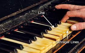 Check spelling or type a new query. How To Tell If Your Piano Keys Are Made Of Ivory Thepiano Sg