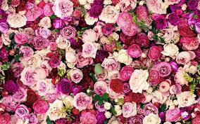 Freshen Up Your Desktop With These Pretty Wallpapers Cleanyourvirtualdesktopday Macbook Wallpaper Kate Spade Wallpaper Rose Wallpaper