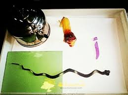 مجسمات حرف الألف تعليم الحروف عن طريق المجسمات كلمات تبدا بحرف الألف شمسات Vegetables Eggplant