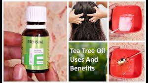 Top 5 Uses Benefits Of Tea Tree Oil For Skin Hair Beauty Benefits Giveaway Week Youtube