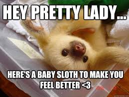 Funny Feel Better Memes