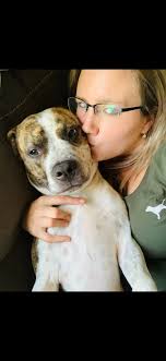 Daisey Mae says Good morning! ❤️