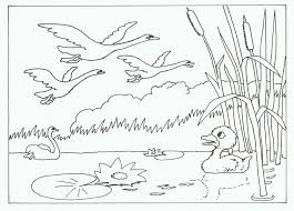 Pin Di Molly Spurlock Su Crafts For Kids Ricamo Scuola