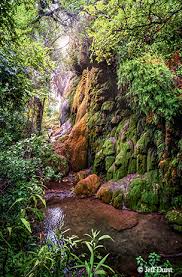 Where in Texas|October 2018| TPW magazine