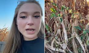 I always said career women were to blame for divorces