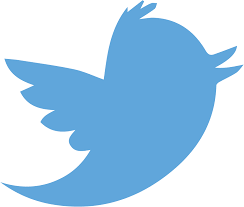 Check spelling or type a new query. Twitter Transparent Vector Png 25 Sap Hana