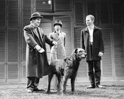 We look at five extraordinary soviet fighters in world war ii whose feats were beyond anything humanly possible: The Works The Cambridge Shakespeare Guide