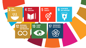 According to sdg reporting challenge 2017, 62% of companies mentioned the un sdgs in their reporting. Event Planners Rank The Un Sustainable Development Goals