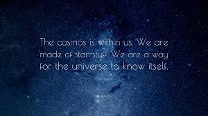We Are A Way For The Universe To Know Itself Carl Sagan Quote The Cosmos Is Within Us We Are Made Of Star Stuff We Are A Way For The Universe To Know Itself Lao Tzu Quotes Carl Sagan Space Quotes