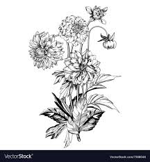 Black And White Elegant White Flower Background Vector Vintage Elegant Flowers Black And White Royalty Free Vector Aff Flowers Black Vintage Elegant Peony Illustration Sunflower Drawing Elegant Flowers