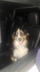 Solebury Township Police