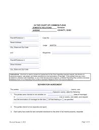 You probably never dreamed of what it would be like to walk down the aisle in divorce court. Ohio Divorce Marital Settlement Agreement Form Pdf