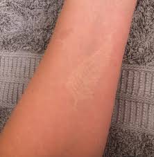 12 Gorgeous Delicate White Tattoo Designs Photos New Zealand Tattoo White Tattoo Fern Tattoo