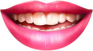 Smiling Mouth Png Clip Art Clip Art Mouth Clipart Art