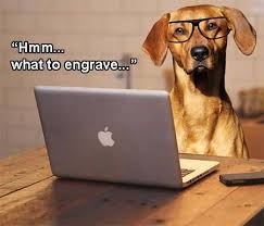 What To Put On Your Pet S Id Tag Dog Friends Pet Blog Dog Memes