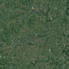 The health of a city has many different factors. Pest Control In Boonville Mo Steve S Pest Control