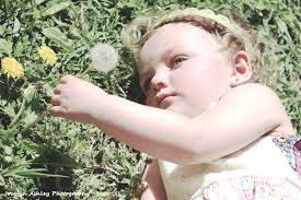 Jocelyn Ashley Photography