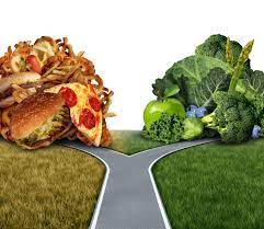 Mejorara la nutrición