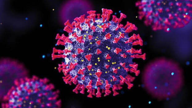 COVID-19: Australia sees the deadliest day of the pandemic with 74 deaths