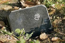 Impossible dans ce cas d'enterrer son chien dans son jardin. Enterrer Son Chat Jardin Et Plantes Fr