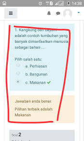 Platform learning moodle memakai model computer assisted learning dan computer assisted teaching. Cara Menggunakan Elearning Moodle Untuk Siswa Tasadmin
