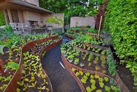 20 gambar inspirasi kebun sayur belakang rumah. 8 Desain Kebun Sayur Di Pekarangan Rumah Tercantik Yang Mudah Ditiru