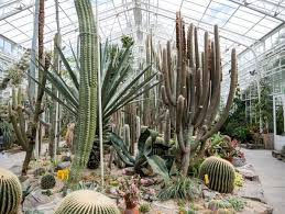 21 bei schlechtem wetter kürzere öffnungszeiten: Der Botanische Garten Munchen Fantastische Flora In Nymphenburg