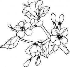 Cherry Blossom Coloring Page Flower Coloring Pages Spring Coloring Pages Free Printable Coloring Pages