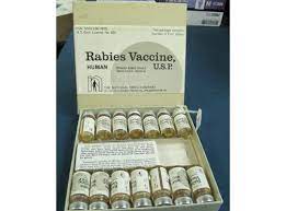 After exposure, the vaccination is typica. Rabies Vaccine Human Semple Type History Of Vaccines