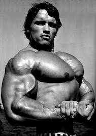 Arnold Among Arnold Schwarzenegger Bodybuilding Wallpapers Posters Fisiculturismo Fotos Musculacao