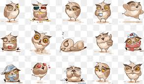 Check spelling or type a new query. Berbagai Burung Png Pngegg
