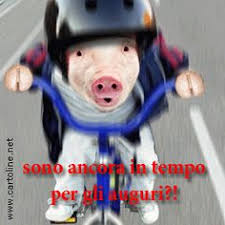 Auguri Ancora Tempo Sono Per Gli Insono Ancora In Tempo Per G Auguri Di Compleanno Divertenti Auguri Di Compleanno In Ritardo Buon Compleanno Divertente