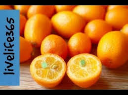 Check spelling or type a new query. Kumquat Alchetron The Free Social Encyclopedia
