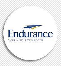 This process was established to provide insurance companies with a way to submit general liability insurance information in real time. Endurance Specialty Holdings Ltd Insurance Agent Endurance American Specialty Insurance Company Casualty Insurance Others Text Logo Insurance Png Pngwing