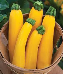 Maybe you would like to learn more about one of these? Zucchini Varieties And Types Of Zucchini
