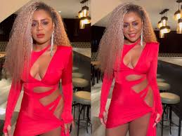 Elas pintam! Cariúcha promete arrasar no Carnaval 2025 e ficar nua na  Sapucaí - Portal Leo Dias