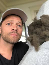 Misha Collins