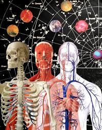 It is the most complete reference of human explore over 6700 anatomic structures and more than 670 000 translated medical labels. Artstation Anatomy Of A Man S Body As Governed By Constellations Loose Daniela