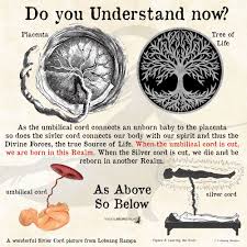 We did not find results for: 170 As Above So Below Ideas In 2021 Sacred Geometry Theology Spirituality