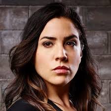 We did not find results for: Blindspot Season 1 Episode 14 Rotten Tomatoes