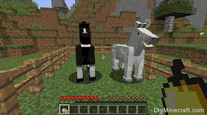 In vanilla minecraft, you don't. How To Breed Horses In Minecraft